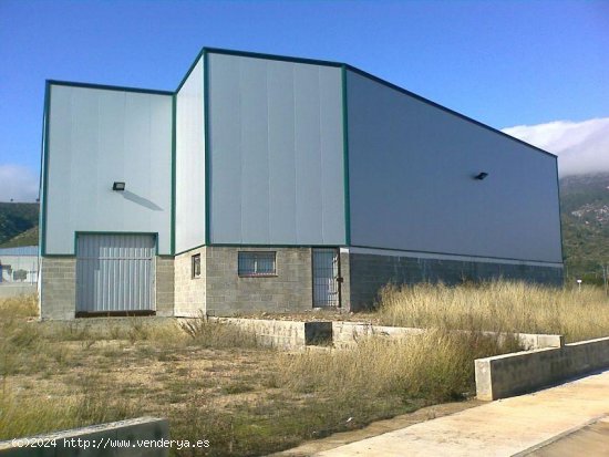 Nave industrial en venta  en Alcover - Tarragona
