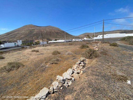 SE VENDE Parcela/Finca en Venta en Montaña Blanca - San Bartolomé