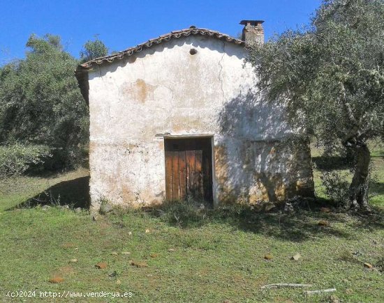 SE VENDE FINCA RUSTICA EN VENTA EN VALDELARCO (HUELVA) ESPAÑA. - Valdelarco