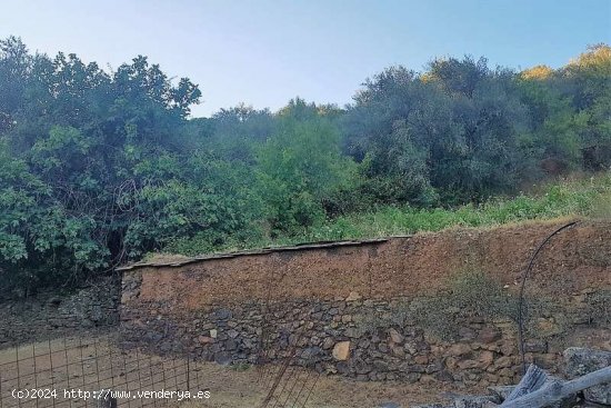 SE VENDE FINCA RUSTICA EN VENTA EN VALDELARCO (HUELVA) ESPAÑA. - Valdelarco