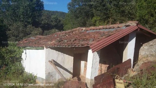 SE VENDE FINCA RUSTICA EN VENTA EN JABUGO (HUELVA) ESPAÑA. - Jabugo