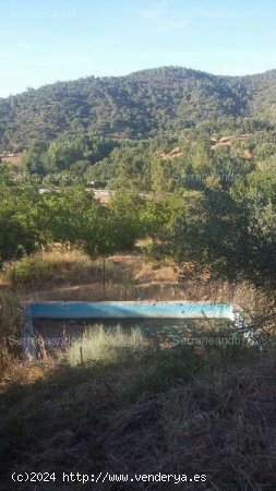 SE VENDE FINCA RUSTICA EN VENTA EN JABUGO (HUELVA) ESPAÑA. - Jabugo