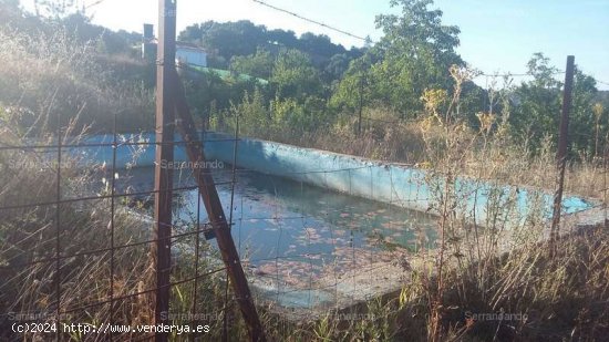 SE VENDE FINCA RUSTICA EN VENTA EN JABUGO (HUELVA) ESPAÑA. - Jabugo