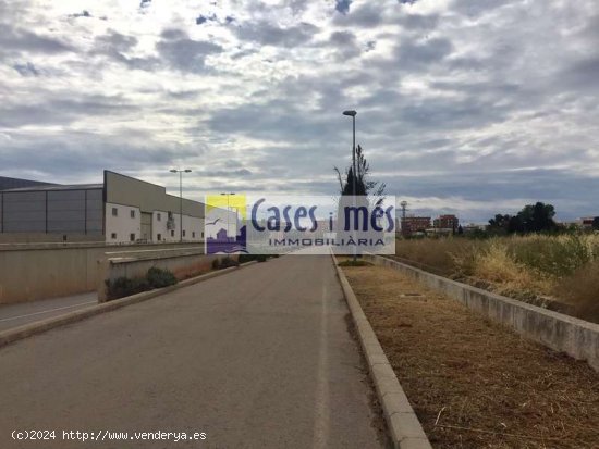 SE VENDE SUELO INDUSTRIAL TERCIARIO - Rafelbunyol