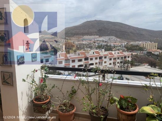 Precioso apartamento en Los Cristianos - Arona