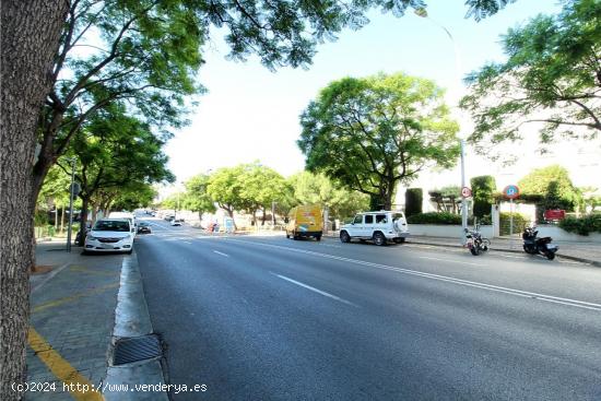 SOLAR EN PALMA - ZONA SON DAMETO - BALEARES