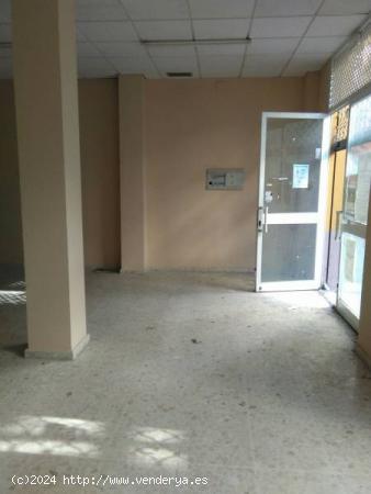 Local comercial en alquiler - CADIZ