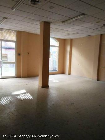 Local comercial en alquiler - CADIZ