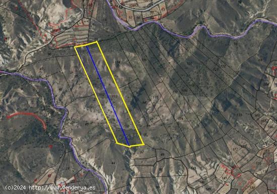 LOTE DE PARCELAS RÚSTICAS A LA VENTA EN ABANILLA - MURCIA