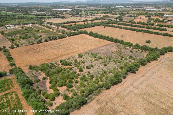 Terreno urbanizable de 15.151m2 - BALEARES