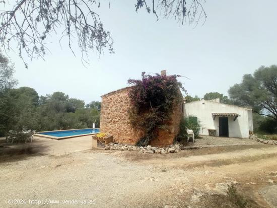 Se Vende en Palma de Mallorca - BALEARES