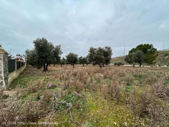  TERRENO RUSTICO EN PERALES DE TAJUÑA. - MADRID 