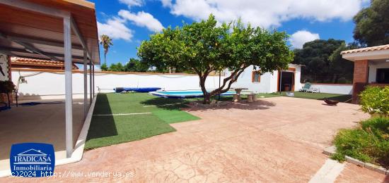 PEDANIA DE JEREZ, CASA DE CAMPO 100M², PARCELA 700M², PISCINA, NAVE DE 40M² - CADIZ