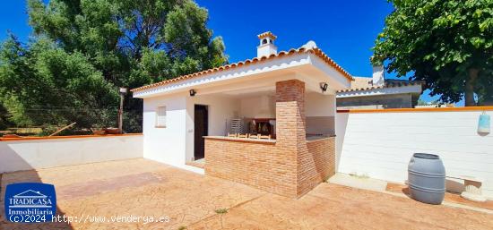 PEDANIA DE JEREZ, CASA DE CAMPO 100M², PARCELA 700M², PISCINA, NAVE DE 40M² - CADIZ