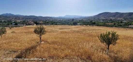 FINCA RUSTICA - MALAGA