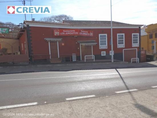 restaurante local o salón - SANTA CRUZ DE TENERIFE