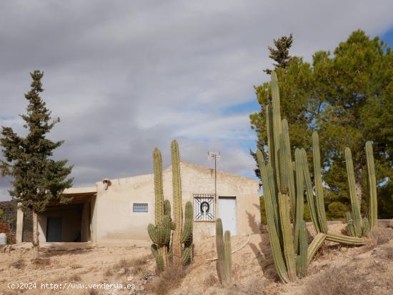 CASA CON TERRENO EN ZONA EL SALADO, ABANILLA - MURCIA