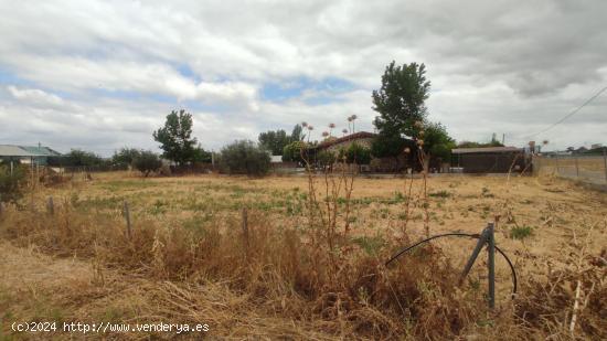 TERRENO EN VENTA EN EL CARPIO - CORDOBA