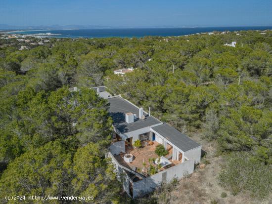  Casa rodeada de naturaleza, árboles y cerca del mar en Formentera - BALEARES 