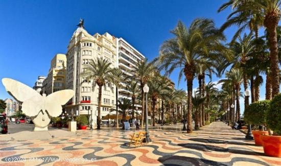  Se vende piso en Calle Castaños a poca distancia del  puerto de Alicante - ALICANTE 