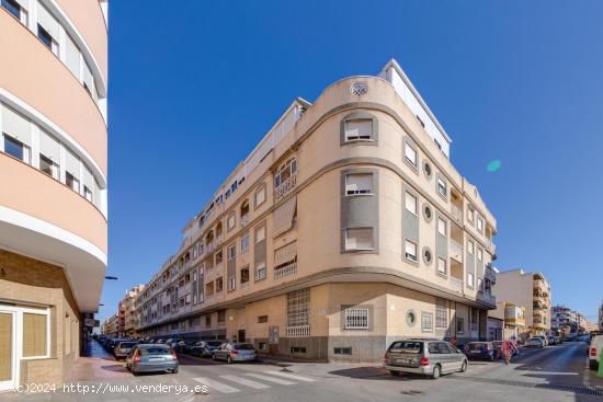  APARTAMENTO DE 2 DORMITORIOS - ZONA CENTRO TORREVIEJA - - ALICANTE 