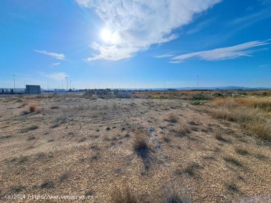  TERRENO INDUSTRIAL EN VENTA EN POLIGONO EL PLA (ALZIRA) - VALENCIA 