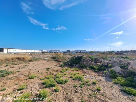 TERRENO INDUSTRIAL EN VENTA EN POLIGONO EL PLA (ALZIRA) - VALENCIA