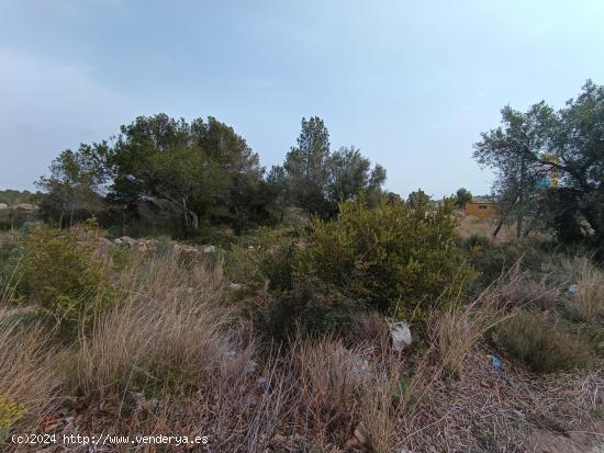 Parcelas en venta en L'Hospitalet de l'Infant - TARRAGONA