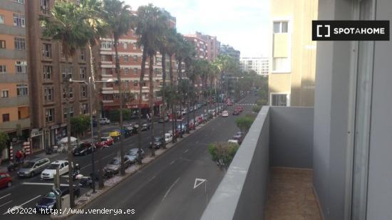 Se alquila habitación en piso de 5 habitaciones en Las Palmas de Gran Canaria - LAS PALMAS