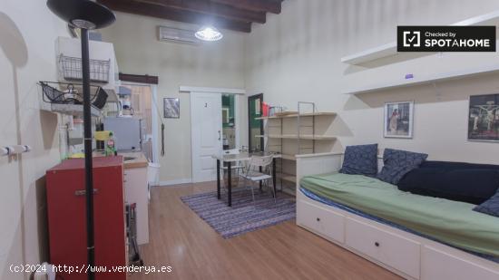 Acogedor apartamento estudio con patio en alquiler en Regina-La Encarnación - SEVILLA