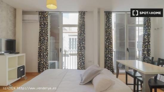 Estudio Open Plan en Málaga - MALAGA