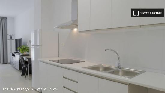 Málaga Soho Hermoso Loft - MALAGA