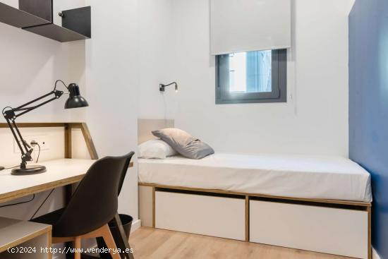 Se alquila habitación cerca de Campus Reina Mercedes, Sevilla - SEVILLA