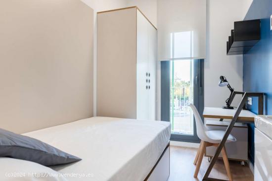 Se alquila habitación cerca de Campus Reina Mercedes, Sevilla - SEVILLA