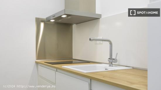 Apartamento entero de 1 habitaciones en Madrid - MADRID