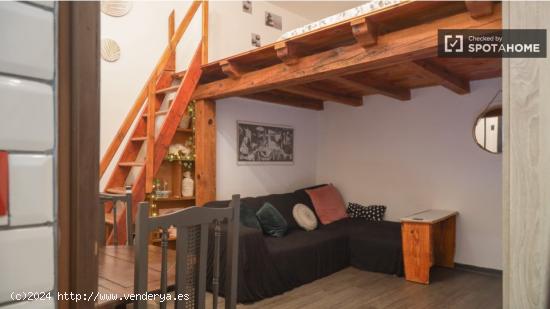 Acogedor loft de un dormitorio en el centro de la ciudad (Lavapiés) - MADRID