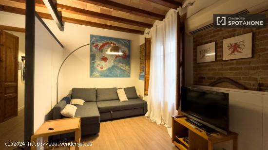 Apartamento de 2 dormitorios en alquiler en El Raval - BARCELONA