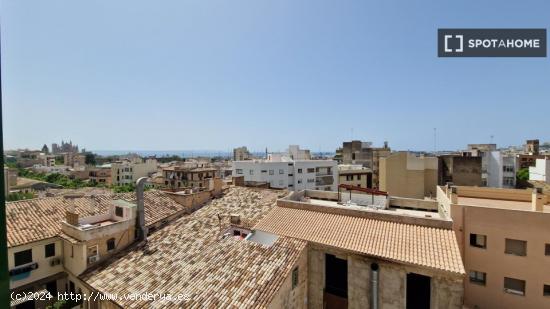 Piso completo de 2 habitaciones en Palma - BALEARES