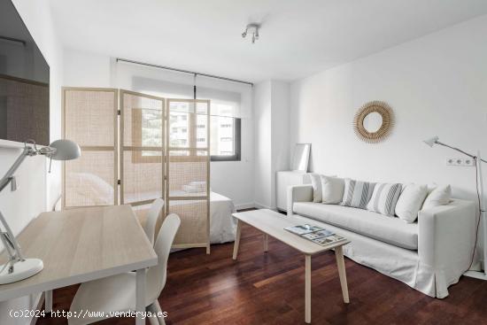  Apartamento entero de 1 habitaciones en Madrid - MADRID 