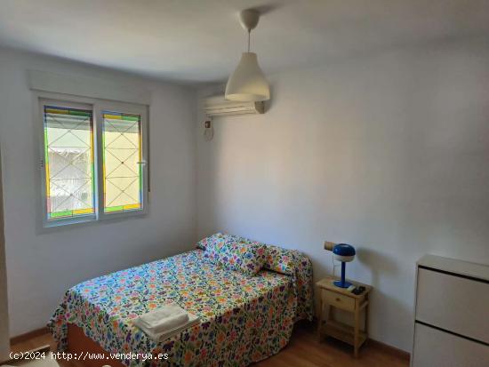  Alquiler de habitaciones en piso de 3 dormitorios en Pueblo Nuevo - MALAGA 