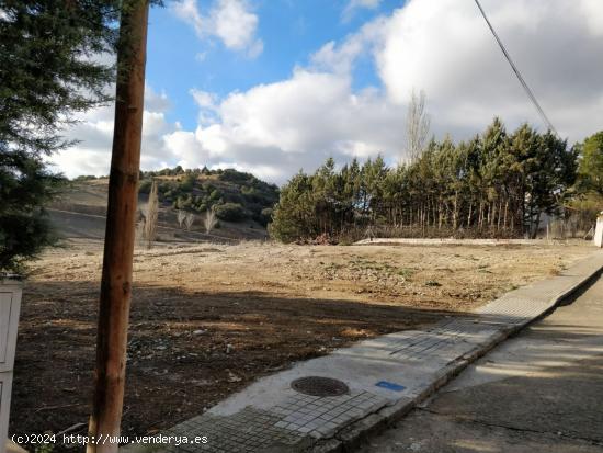 Parcela de 1000 m2 en un entorno envidiable - GUADALAJARA