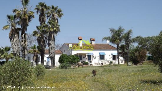 FINCA RUSTICA CON VIVIENDAS (GIBRALEON) - HUELVA