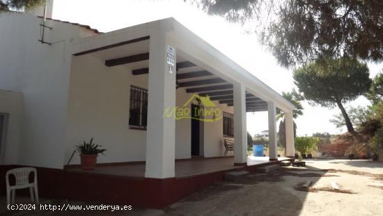 ESTUPENDA FINCA CON CASA EN CARTAYA - HUELVA