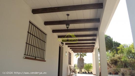 ESTUPENDA FINCA CON CASA EN CARTAYA - HUELVA