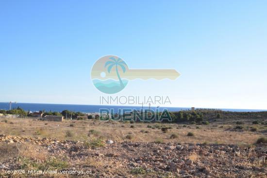 TERRENO en venta  - MURCIA