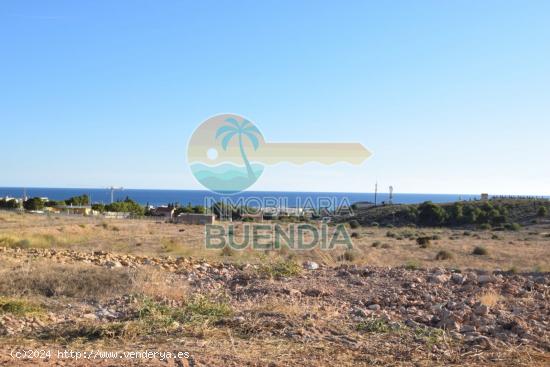 TERRENO en venta  - MURCIA