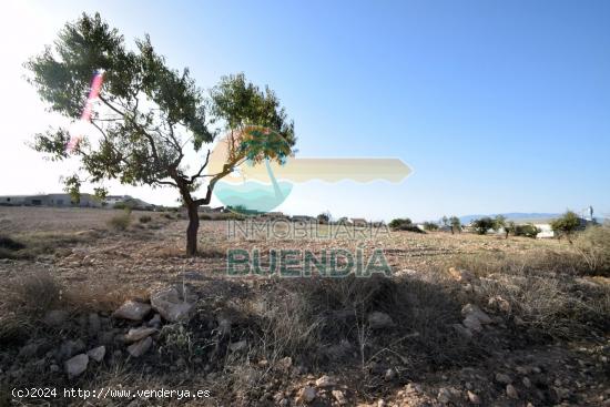 TERRENO en venta  - MURCIA