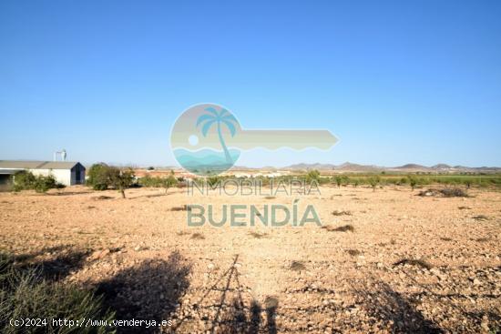 TERRENO en venta  - MURCIA