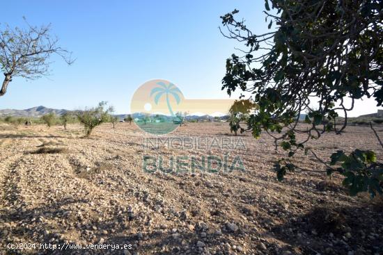 TERRENO en venta  - MURCIA