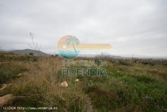 TRES TERRENOS, UNO CON CASA DERRUIDA, ACCESIBLES A LUZ Y AGUA Y CON DERECHO A POZO. - MURCIA